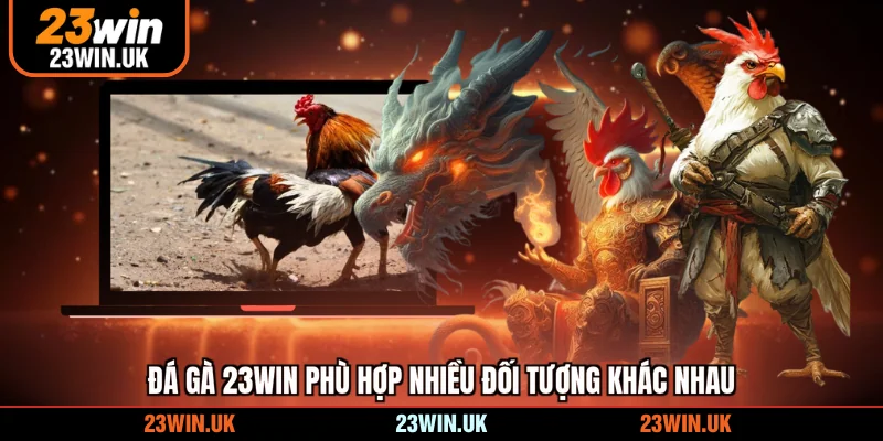 Đá gà 23WIN phù hợp nhiều đối tượng khác nhau