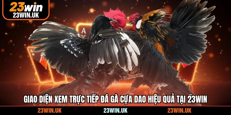 Tìm hiểu trực tiếp đá gà cựa dao trên 23WIN