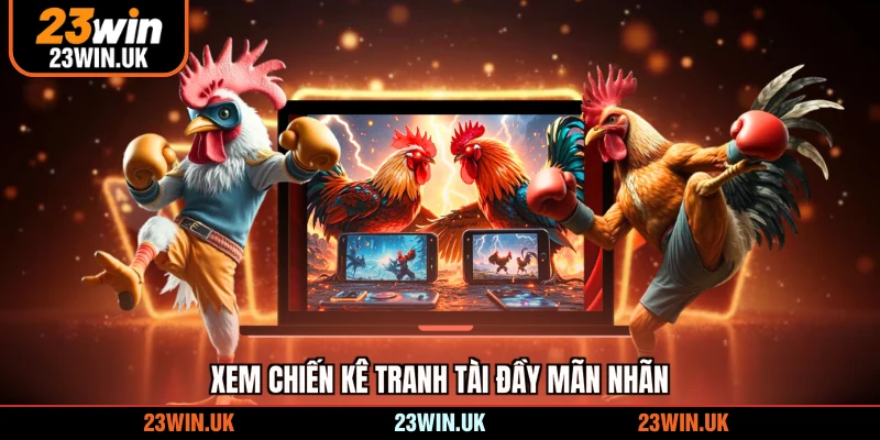 Xem chiến kê tranh tài đầy mãn nhãn